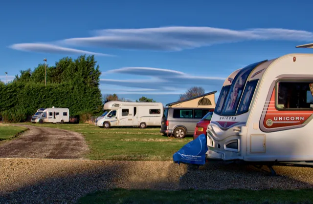 Larick Campsite - pets