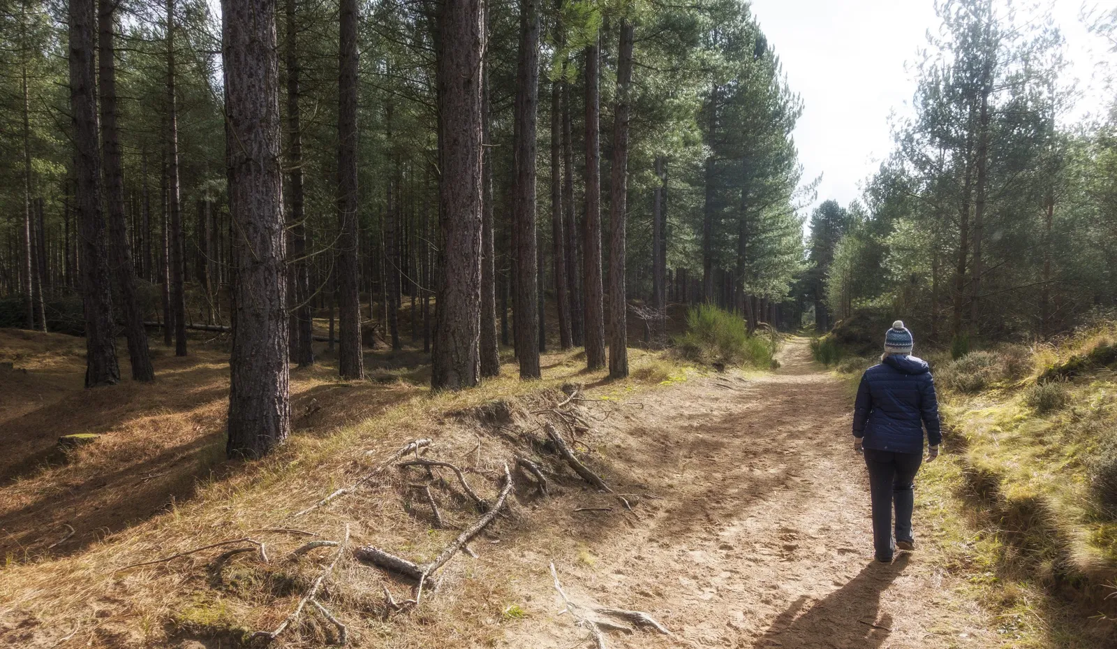 Larick Campsite - History and Culture - tentsmuir walk 1