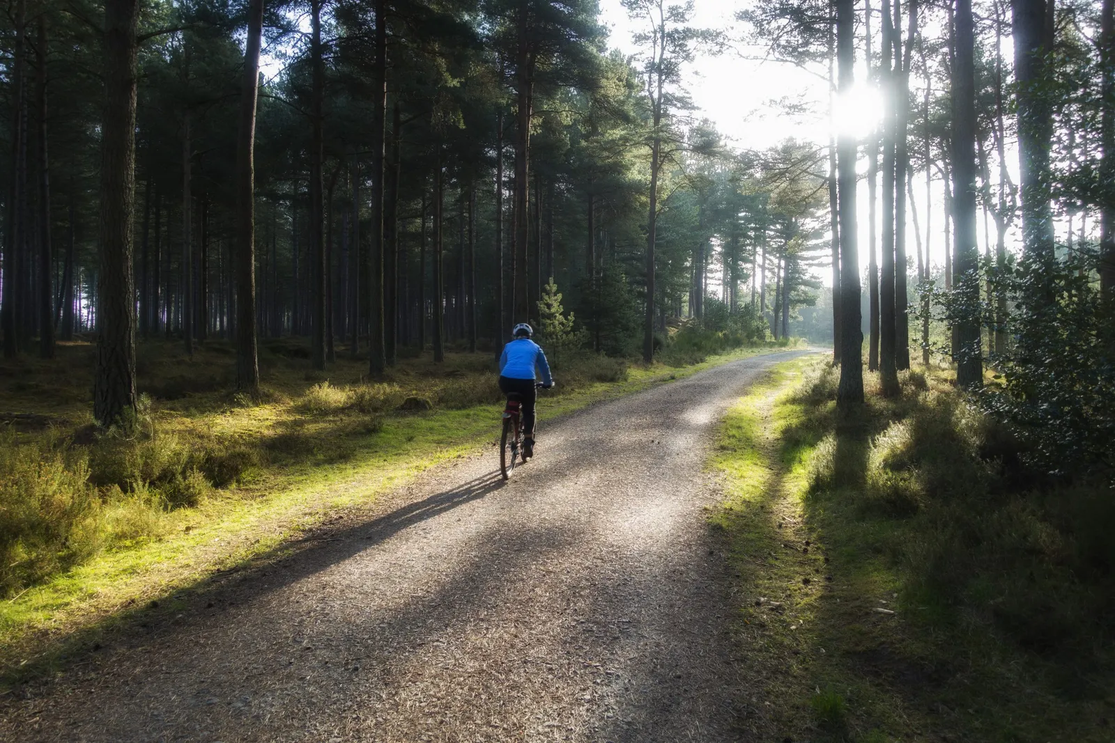 Larick Campsite - History and Culture - tentsmuir bike 2